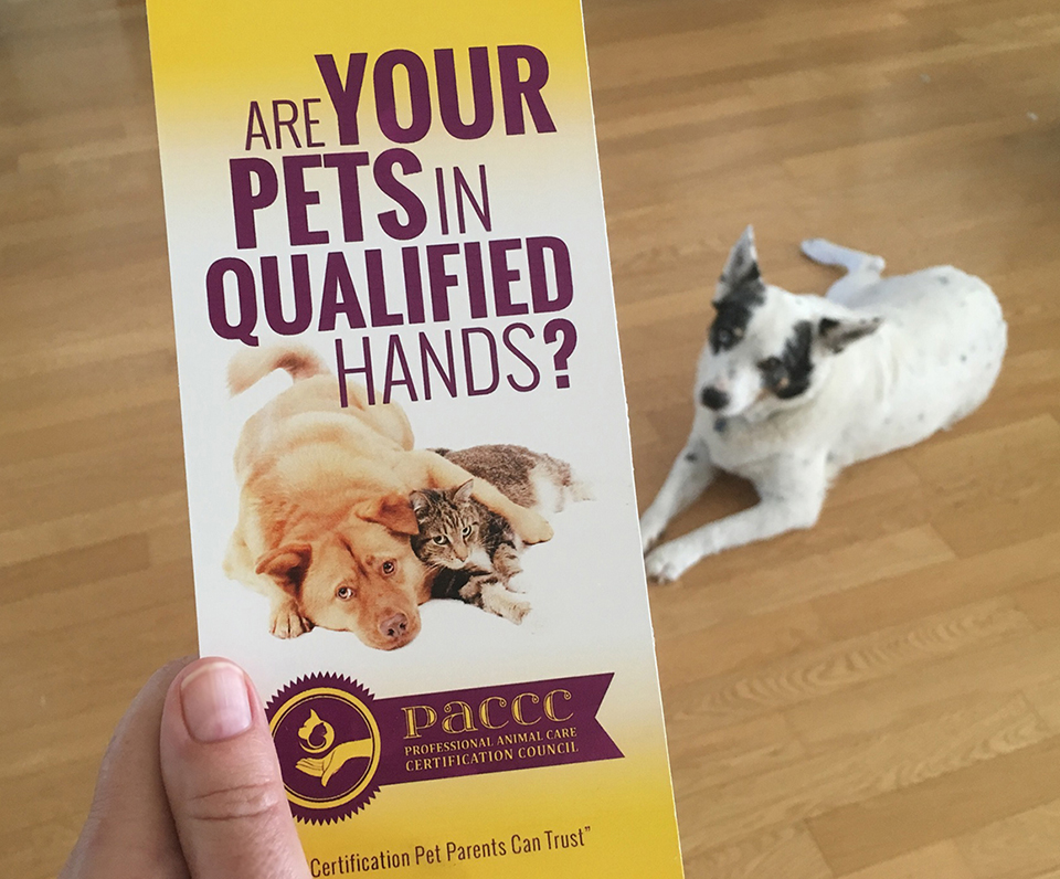 Let your clients - and potential clients - know that PACCC provides certification that pet parents can trust.